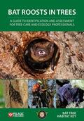  Bat Roosts Trees: Guide Identification | Buch |  Sack Fachmedien