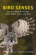 Martin |  Bird Senses: How and What Birds See, Hear, Smell, Taste and Feel | Buch |  Sack Fachmedien