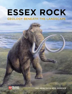 Mercer |  Essex Rock | Buch |  Sack Fachmedien