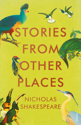 Shakespeare |  Stories from Other Places | Buch |  Sack Fachmedien