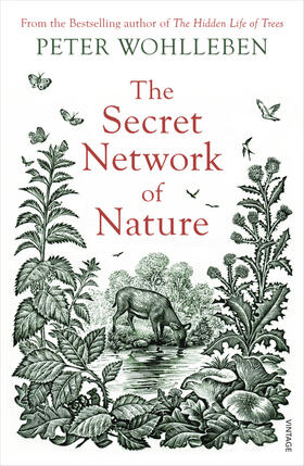 Wohlleben |  The Secret Network of Nature | Buch |  Sack Fachmedien