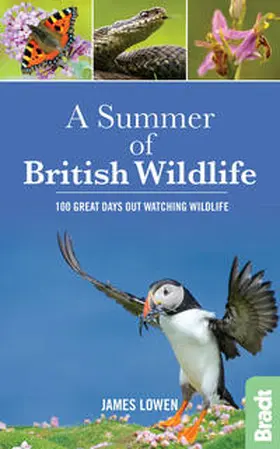 Lowen |  Summer of British Wildlife | Buch |  Sack Fachmedien