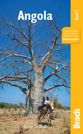 Stead / Scafidi / Rorison |  Angola | Buch |  Sack Fachmedien