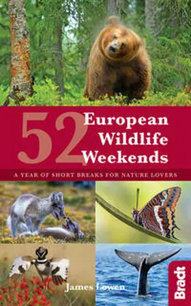 Lowen |  52 European Wildlife Weekends | Buch |  Sack Fachmedien