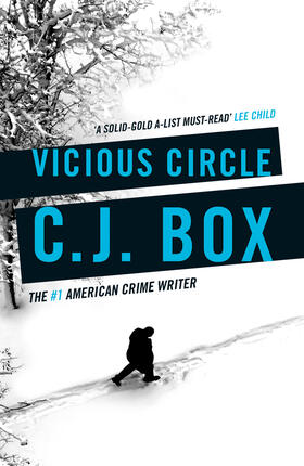 Box |  Vicious Circle | Buch |  Sack Fachmedien