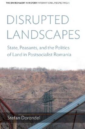 Dorondel | Disrupted Landscapes | E-Book | sack.de