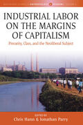 Hann / Parry |  Industrial Labor on the Margins of Capitalism | Buch |  Sack Fachmedien