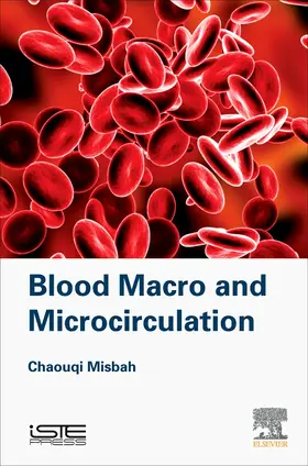 Misbah |  Blood Macro- And Microcirculation | Buch |  Sack Fachmedien