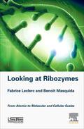 Leclerc / Masquida |  Looking at Ribozymes: From Atomic to Molecular and Cellular Scales | Buch |  Sack Fachmedien