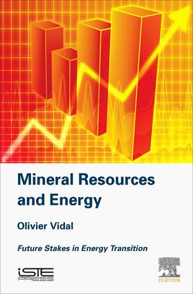 Vidal |  Mineral Resources and Energy | Buch |  Sack Fachmedien