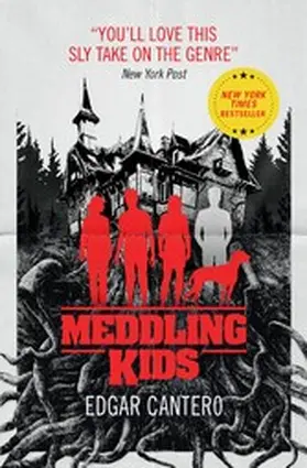 Cantero |  Meddling Kids | eBook | Sack Fachmedien