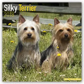 Avonside Publishing | Silky Terrier 2018 | Sonstiges | 978-1-78580-101-3 | www.sack.de