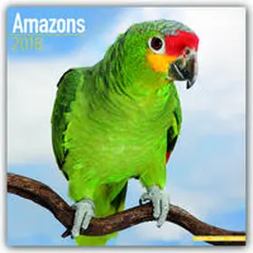 Avonside Publishing | Amazons - Amazonenpapageien 2018 | Sonstiges | 978-1-78580-124-2 | www.sack.de