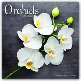 Avonside Publishing | Orchids - Orchideen 2018 | Sonstiges | 978-1-78580-188-4 | www.sack.de