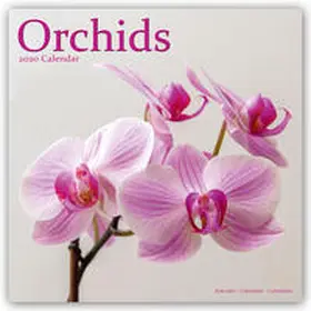 Orchids - Orchideen 2020 | Buch | 978-1-78580-757-2 | www.sack.de