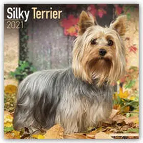 Avonside Publishing |  Silky Terrier 2021 Wall Calendar | Sonstiges |  Sack Fachmedien