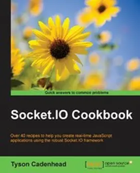 Cadenhead |  Socket.IO Cookbook | eBook | Sack Fachmedien