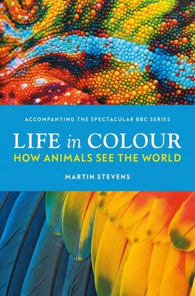 Stevens |  Life in Colour | Buch |  Sack Fachmedien