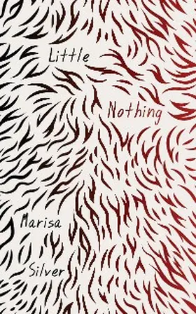 Silver |  Little Nothing | eBook | Sack Fachmedien