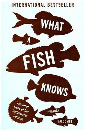 Balcombe |  What a Fish Knows | Buch |  Sack Fachmedien
