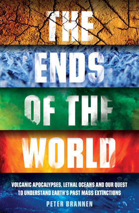 Brannen |  The Ends of the World | Buch |  Sack Fachmedien