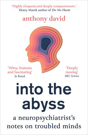 David |  Into the Abyss | Buch |  Sack Fachmedien