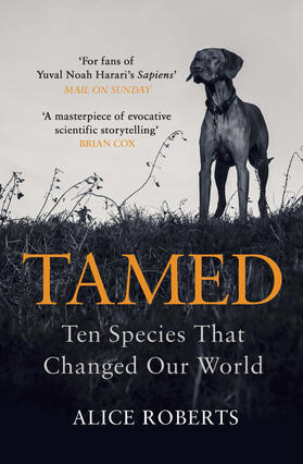 Roberts |  Tamed | Buch |  Sack Fachmedien