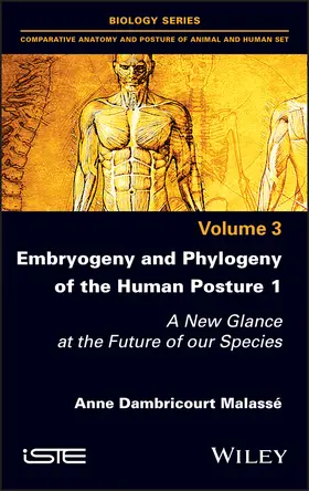Dambricourt Malasse |  Embryogeny and Phylogeny of the Human Posture 1 | Buch |  Sack Fachmedien
