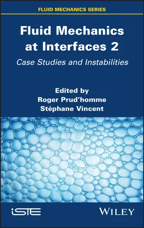 Prudhomme / Prud'homme / Vincent |  Fluid Mechanics at Interfaces 2 | Buch |  Sack Fachmedien