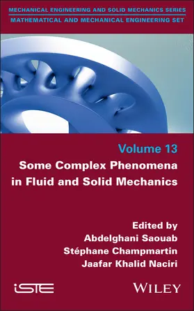 Saouab / Champmartin / Khalid Naciri | Some Complex Phenomena in Fluid and Solid Mechanics | Buch | 978-1-78630-990-7 | sack.de