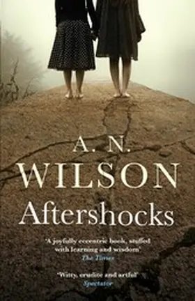 Wilson |  Aftershocks | eBook | Sack Fachmedien