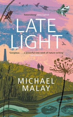 Malay |  Late Light | Buch |  Sack Fachmedien