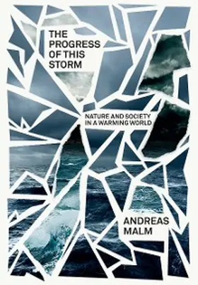 Malm |  The Progress of This Storm | eBook | Sack Fachmedien