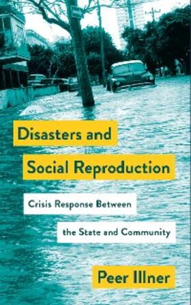Illner |  Disasters and Social Reproduction | eBook | Sack Fachmedien