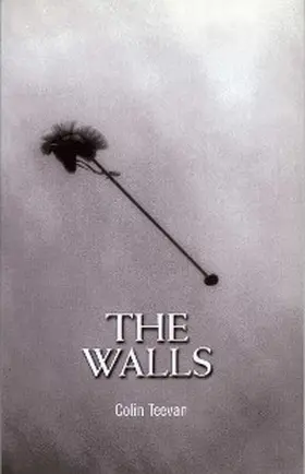 Teevan |  The Walls | eBook | Sack Fachmedien