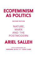 Salleh |  Ecofeminism as Politics | Buch |  Sack Fachmedien