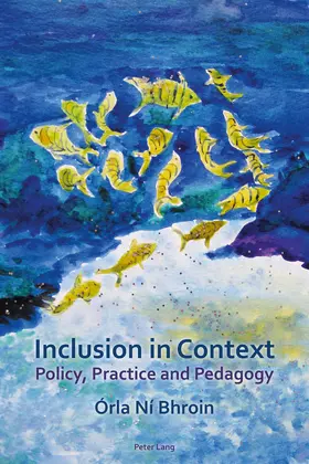 Ní Bhroin |  Inclusion in Context | eBook | Sack Fachmedien