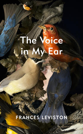 Leviston |  The Voice in My Ear | Buch |  Sack Fachmedien