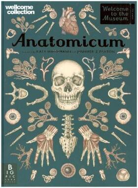 Paxton |  Anatomicum | Buch |  Sack Fachmedien
