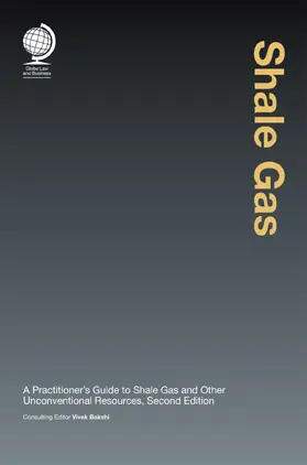 Bakshi |  Shale Gas | Buch |  Sack Fachmedien