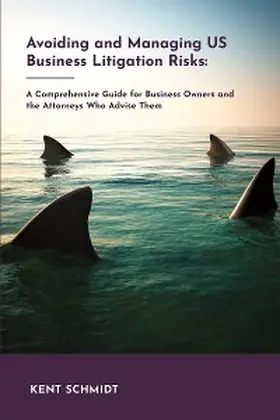 Schmidt |  Avoiding and Managing US Business Litigation Risks | eBook | Sack Fachmedien