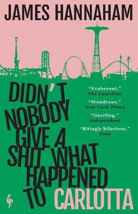 Hannaham |  Didn't Nobody Give a Shit What Happened to Carlotta | Buch |  Sack Fachmedien