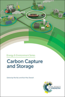 Bui / Mac Dowell |  Carbon Capture and Storage | Buch |  Sack Fachmedien