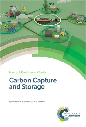 Bui / Mac Dowell |  Carbon Capture and Storage | Buch |  Sack Fachmedien