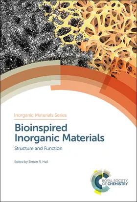 Hall | Bioinspired Inorganic Materials | Buch | 978-1-78801-146-4 | sack.de