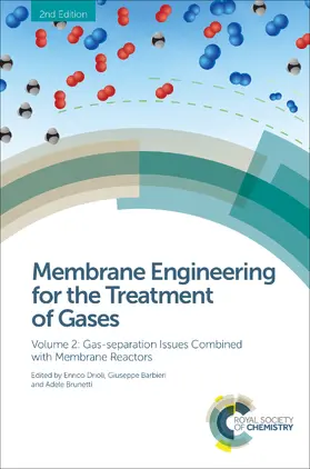 Drioli / Barbieri / Brunetti | Membrane Engineering for the Treatment of Gases | E-Book | www.sack.de