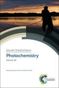 Albini / Protti |  Photochemistry | Buch |  Sack Fachmedien