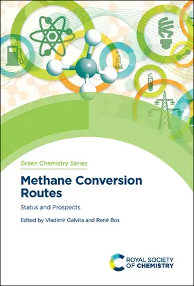 Galvita / Bos |  Methane Conversion Routes | Buch |  Sack Fachmedien