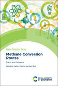 Galvita / Bos |  Methane Conversion Routes | Buch |  Sack Fachmedien