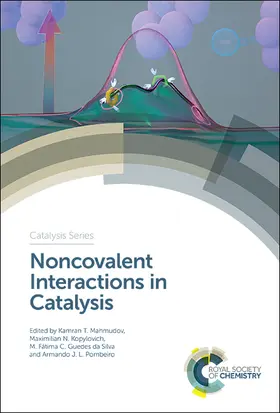 Mahmudov / Kopylovich / Guedes da Silva | Noncovalent Interactions in Catalysis | Buch | 978-1-78801-468-7 | www.sack.de